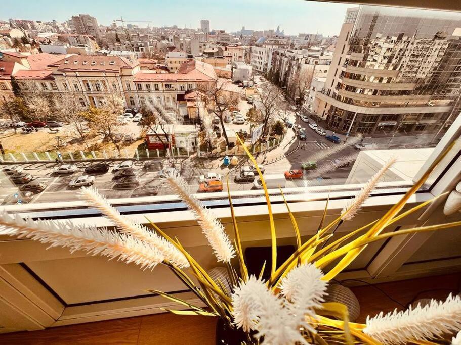City View Studio In The Heart Of Bucharest Appartement Buitenkant foto
